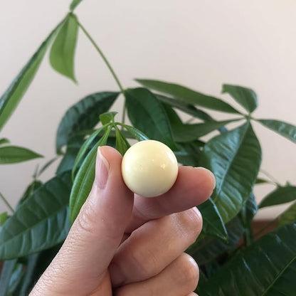 Roulette Ball